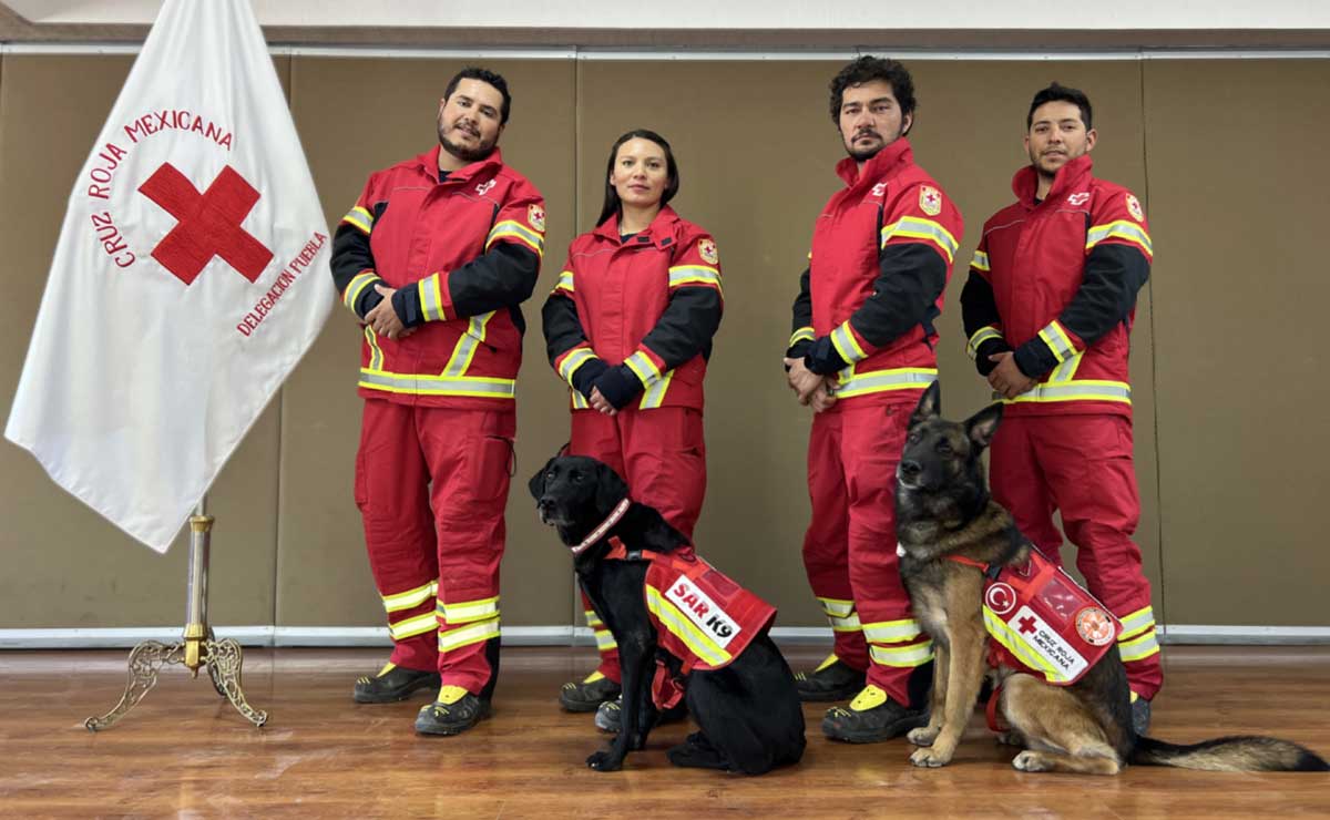 Este equipo de la Cruz Roja delegación Puebla apoyó las labores de rescate en Turquía | Foto: El Universal Puebla