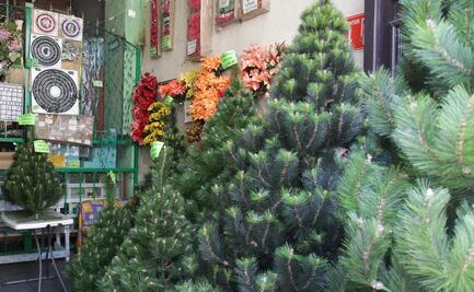 ¿Cuándo se pone el árbol de Navidad? Fecha correcta para 2022