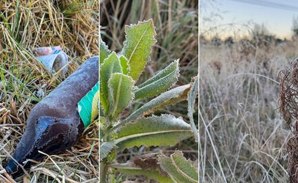 Primera helada de la temporada cubre de hielo campos del Valle de Serdán en Puebla