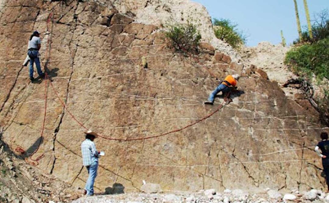 Fósiles de dinosaurios y hasta un mamut se han hallado en Puebla | Foto: Archivo El Universal