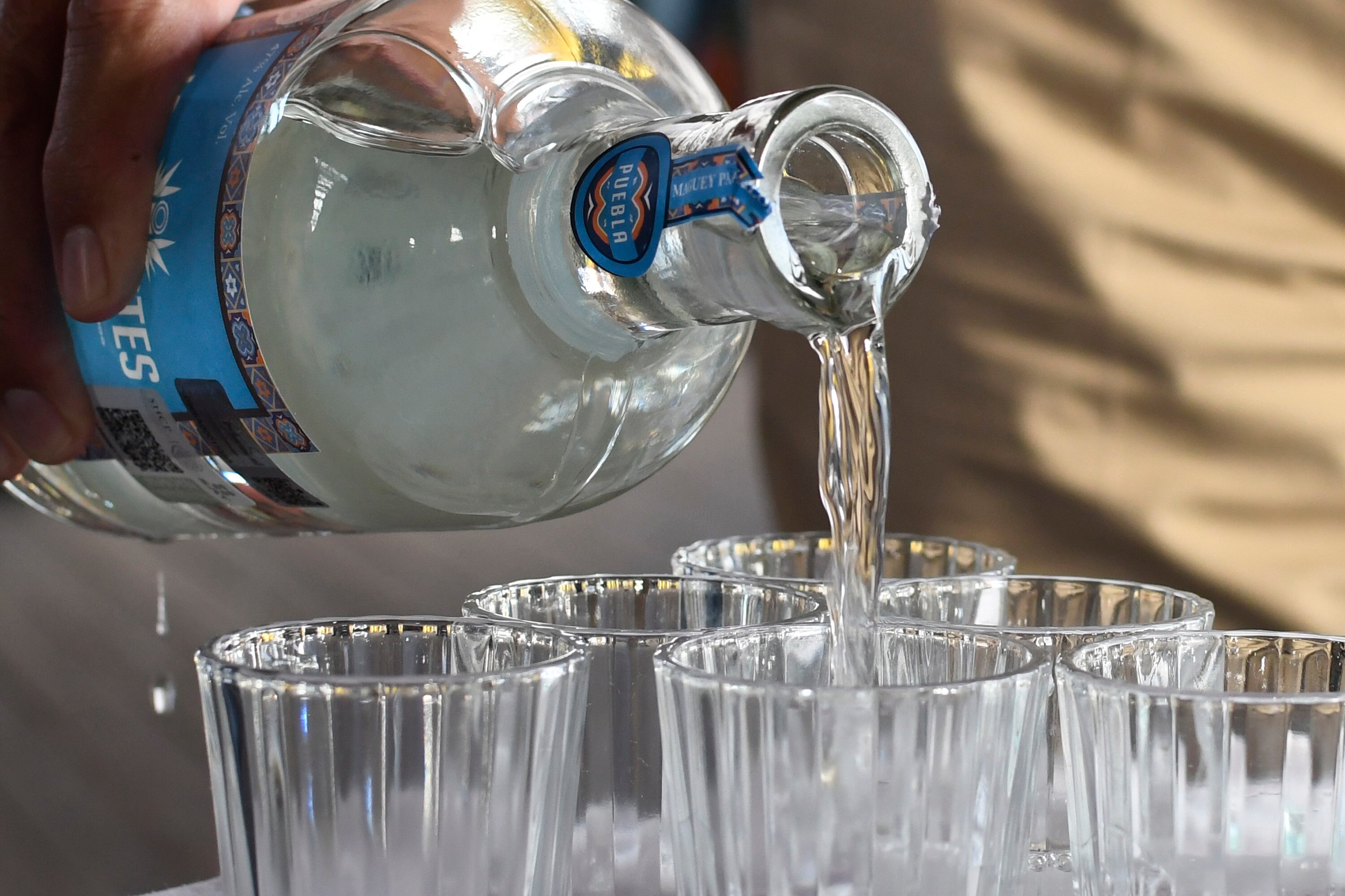 Una probadita de 8 mezcales en Puebla