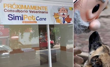 ¿El Doctor Simi ahora atenderá mascotas? Esto se sabe de SimiPet Care