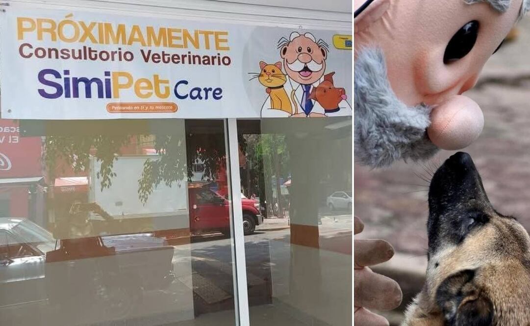 Las posibles veterinarias del Doctor Simi se viralizaron | Foto: Redes Sociales