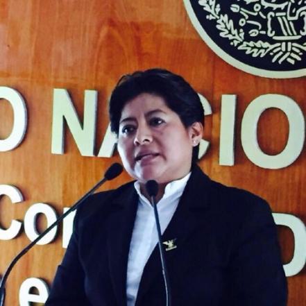 Candidatos a diputados federales en Puebla 2021: Perfiles