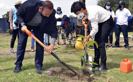 Lilia Cedillo participa en jornada simultánea de reforestación