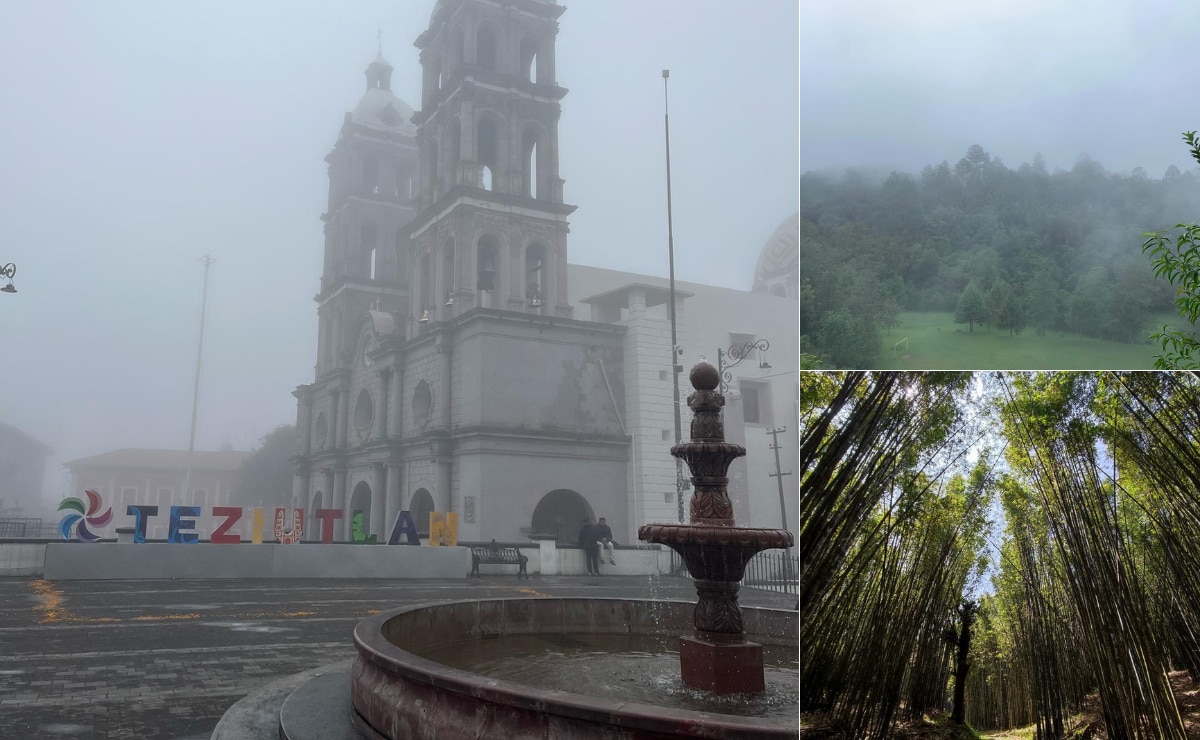 Ruta de la Niebla en el Pueblo Mágico de Teziutlán: vive la mejor aventura de tu vida I Foto: Teziutlan FB/Freepick