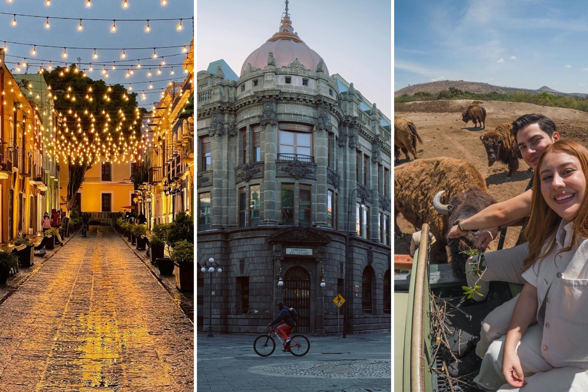 Los destinos turísticos de Puebla están de moda | Foto: Que Chido es México / Pexels / Africam Safari