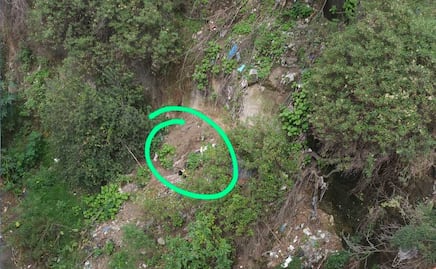 Video: El emotivo rescate de dos cachorros atrapados en un río de Puebla