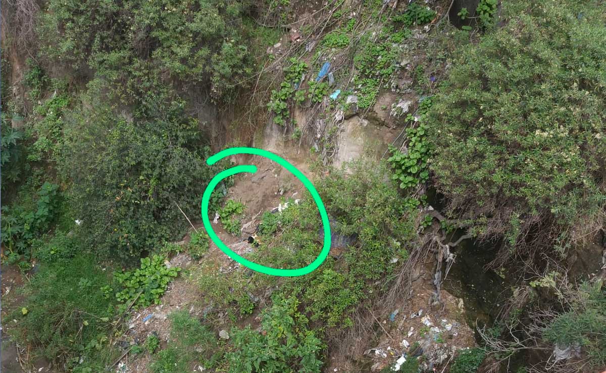 Video: El emotivo rescate de dos cachorros atrapados en un río de Puebla