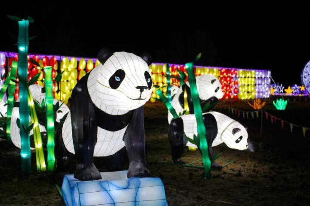 En el Winter Lantern puedes conocer un poco de China en Atlixco | Foto: Facebook Winter Lantern