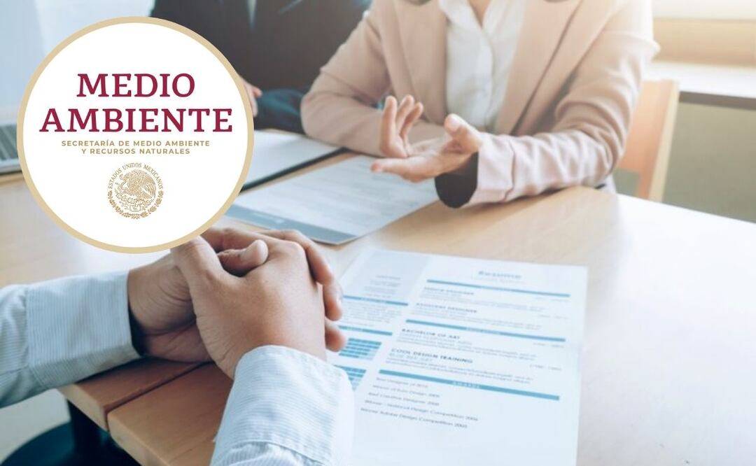 La Secretaría del Medio Ambiente ofrece vacantes de empleos | Semarnat / Freepik