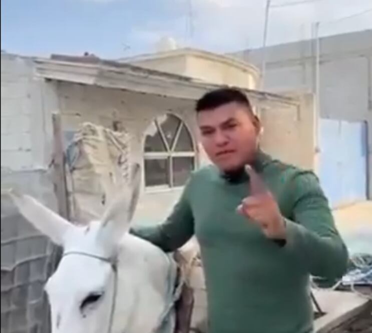 Alejandro Martínez Fuentes dice que ahora harán campaña en este burro | Captura de Pantalla