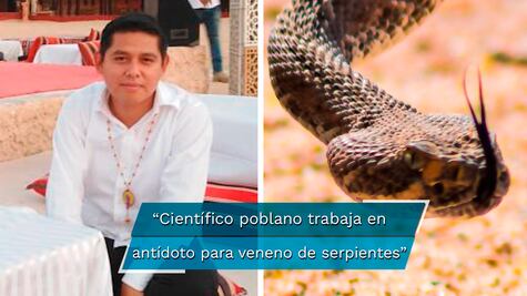 Investigador poblano premiado en Abu Dhabi, por trabajar en antídoto para veneno de serpientes