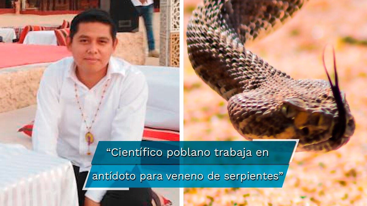 Investigador poblano premiado en Abu Dhabi, por trabajar en antídoto para veneno de serpientes