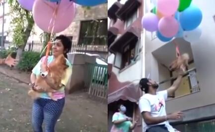 ¡Con los lomitos, no! Youtuber ató a su perro a unos globos para hacerlo volar