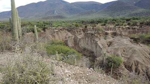 Este es el lugar de Puebla donde encontraron fósiles marinos