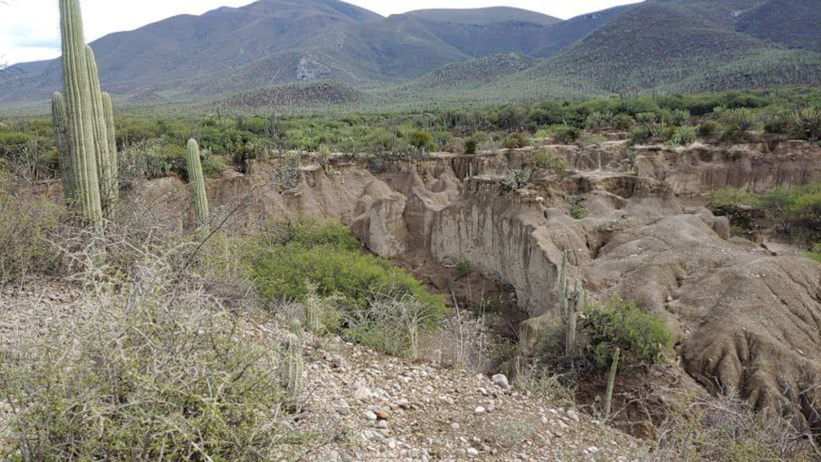 San Juan de la Raya está en el municipio de Zapotitlán | Redes sociales