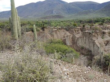 Este es el lugar de Puebla donde encontraron fósiles marinos