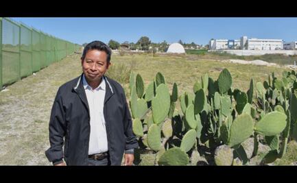 Académico de la BUAP investiga organismos del suelo que favorecen su fertilidad y conservación