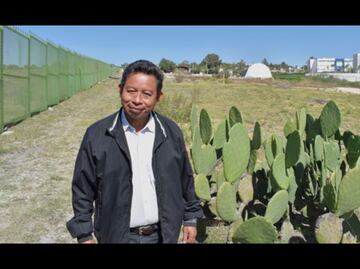 Académico de la BUAP investiga organismos del suelo que favorecen su fertilidad y conservación