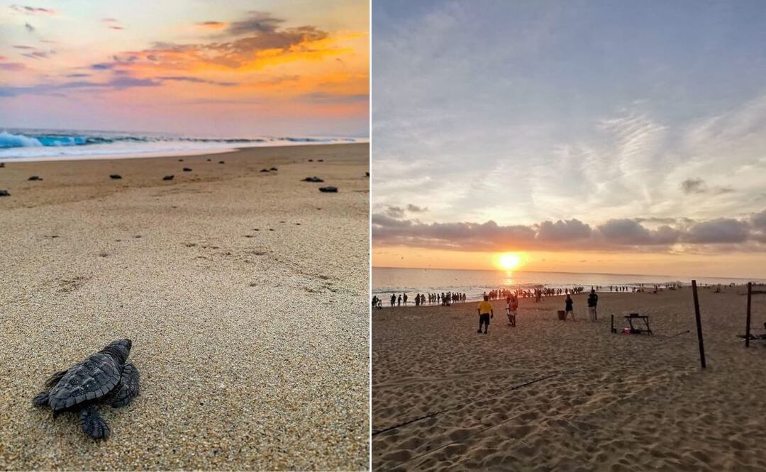 Ahora es más rápido llegar a Puerto Escondido desde Puebla | Foto: Facebook Playa Bachoco Puerto Escondido Oaxaca
