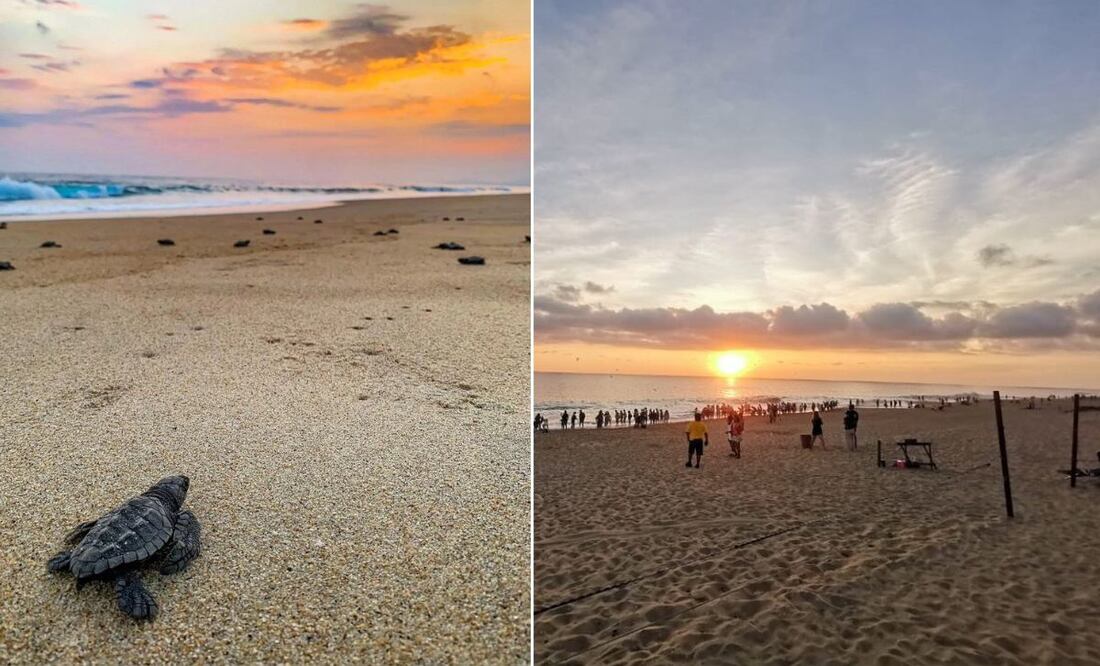 Ahora es más rápido llegar a Puerto Escondido desde Puebla | Foto: Facebook Playa Bachoco Puerto Escondido Oaxaca