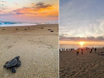 ¿Cuánto cuesta llegar a Puerto Escondido desde Puebla por la nueva autopista?