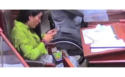 Captan a la diputada Nora Merino jugando en plena sesión