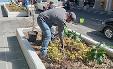 Gobierno de Pepe Chedraui da mantenimiento a la Plazuela Sor Juana Inés de la Cruz