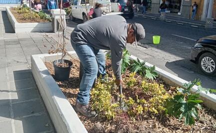 Gobierno de Pepe Chedraui da mantenimiento a la Plazuela Sor Juana Inés de la Cruz