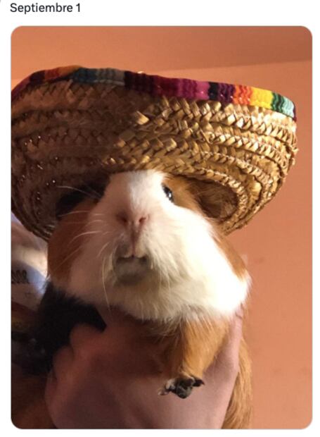 Foto: Redes Sociales