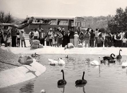 Así lucía Africam Safari hace 51 años