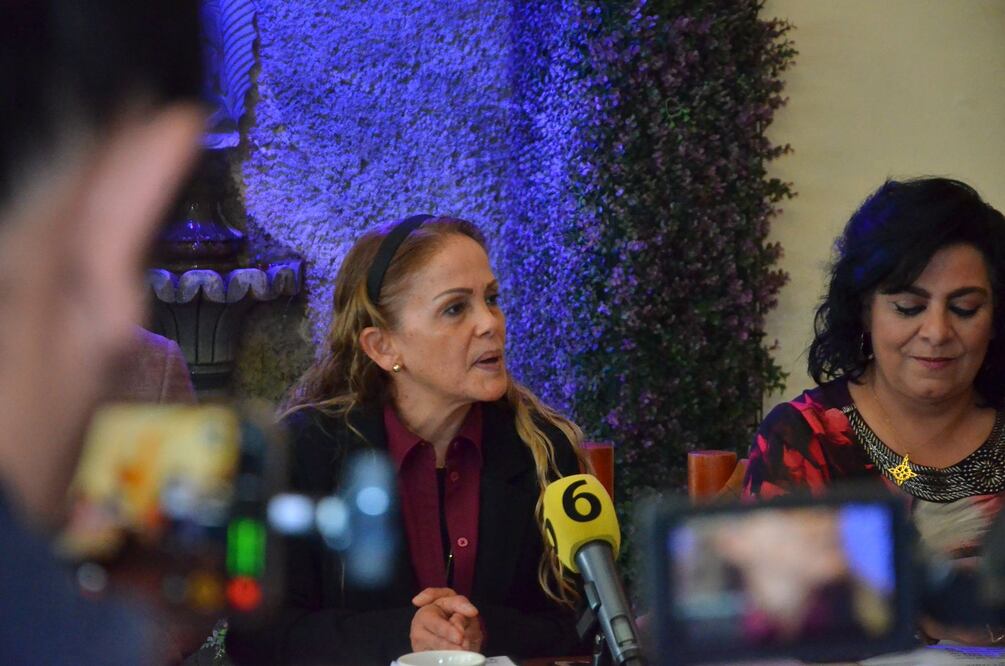 Olga Romero Garci-Crespo aseguró que la oposición se está desmoronando | Especial