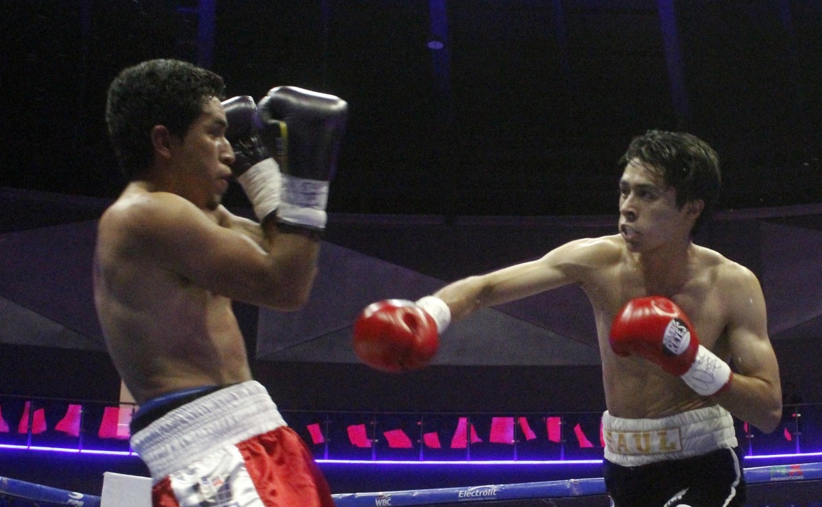 Habrá función de box en la Arena BUAP