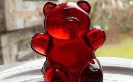 Adiós a los panditas rojos, ¿por qué ya prohibieron consumir estas deliciosas gomitas?