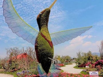 Conoce los tres viveros más famosos de Atlixco