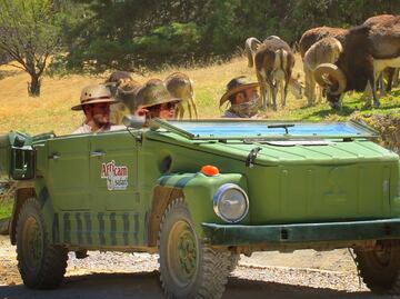 Africam Safari ofrece vacantes en diferentes áreas