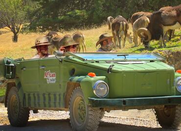Africam Safari ofrece vacantes en diferentes áreas