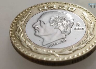 Cuánta plata contiene el núcleo de la moneda de 20 Nuevos Pesos