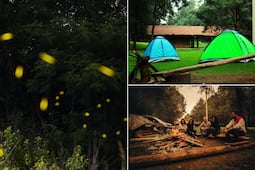 En este campamento de lujo puedes dormir entre luciérnagas cerca de Puebla y la CDMX