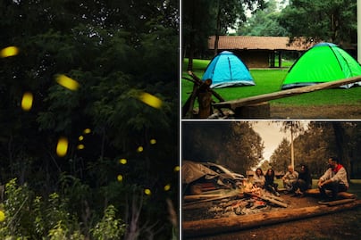 En este campamento de lujo puedes dormir entre luciérnagas cerca de Puebla y la CDMX