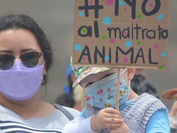 Proponen fiscalía ambiental y contra el maltrato animal