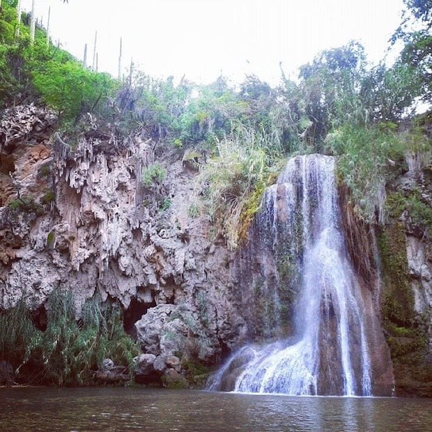 Foto: Instagram de @denymango