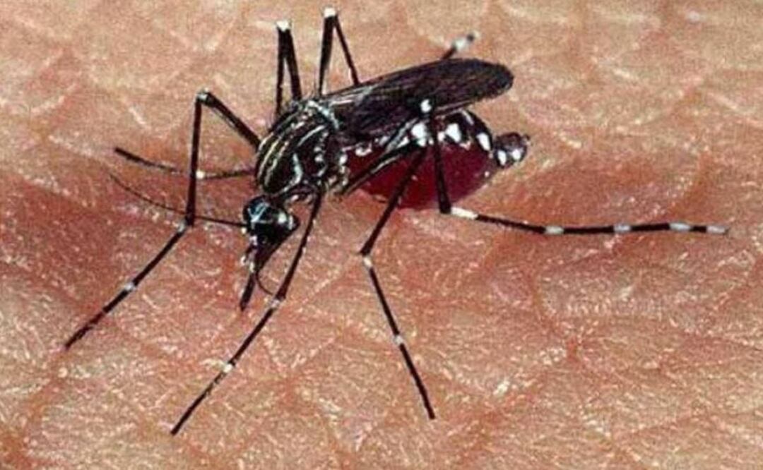 En lo que va de 2023, Acatlán de Osorio es el municipio de Puebla con más contagios de dengue con 31 casos | Foto: Archivo El Universal