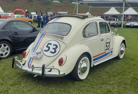 Conoce al Herbie orgullosamente poblano
