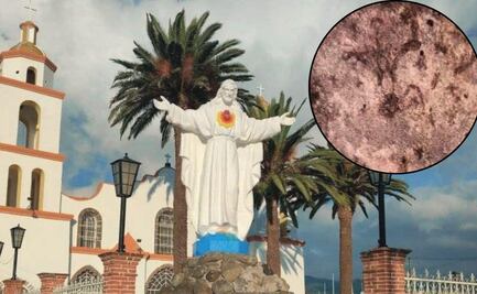 Cómo llegar a la Iglesia del Honguito en Puebla