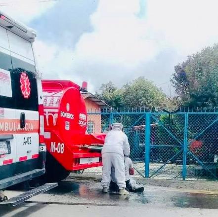 Abejas atacan a habitantes de Zacatlán
