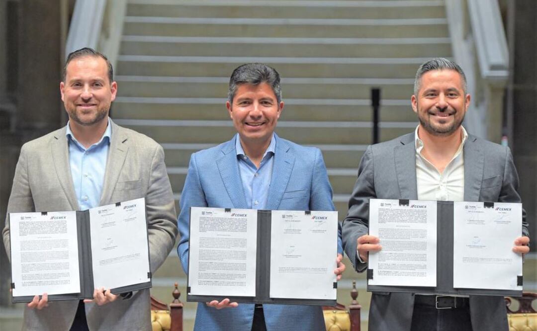 Decenas de árboles producidos en los viveros de Cemex serán plantados para reforestar distintas zonas de la metrópoli. | Foto: inmobilire