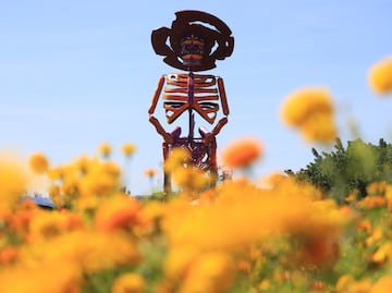 Cuándo inicia el Valle de Catrinas 2025 en Atlixco