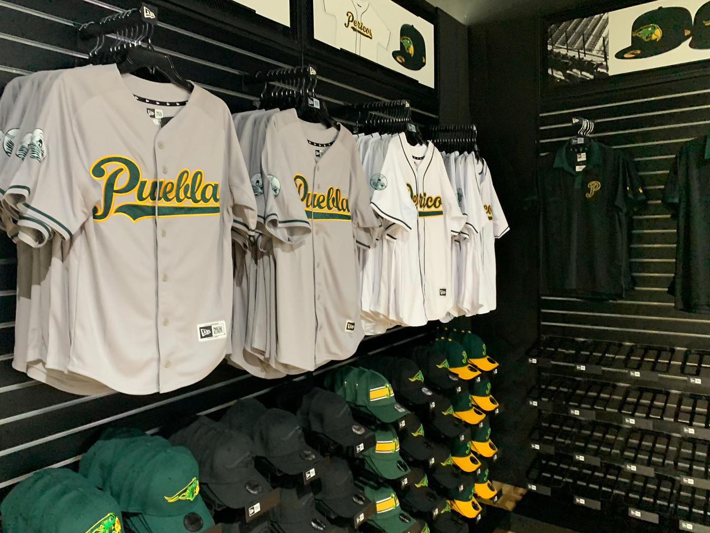 Pericos de Puebla se suma el Buen Fin 2024 con esta imperdible promoción